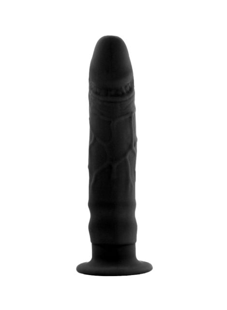 Dilly Beginners Classic Anal Dildo